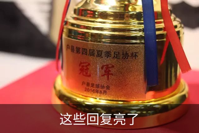 这些回复亮了